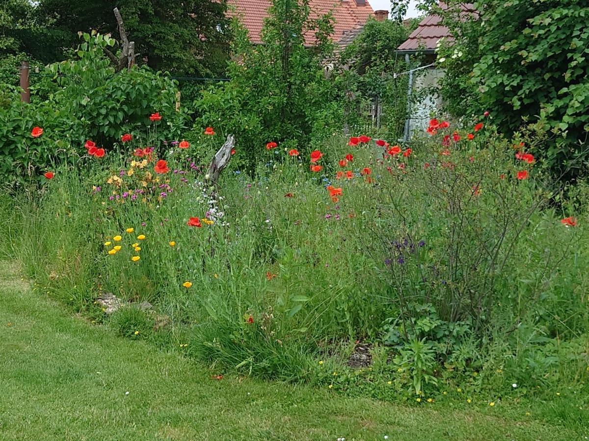 Ferienhof-Rietschen-Neuliebel Bagian luar foto