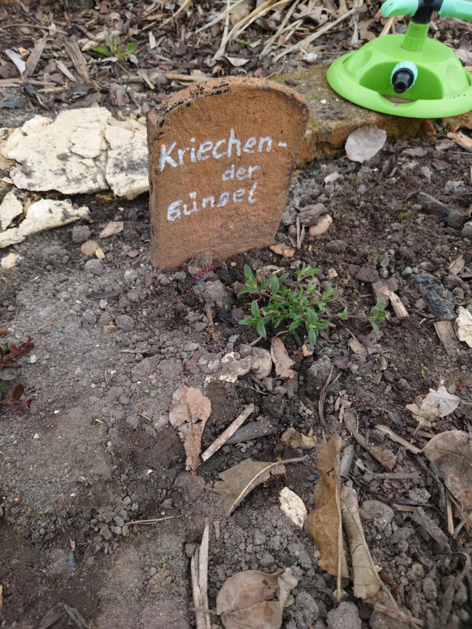 Ferienhof-Rietschen-Neuliebel Bagian luar foto