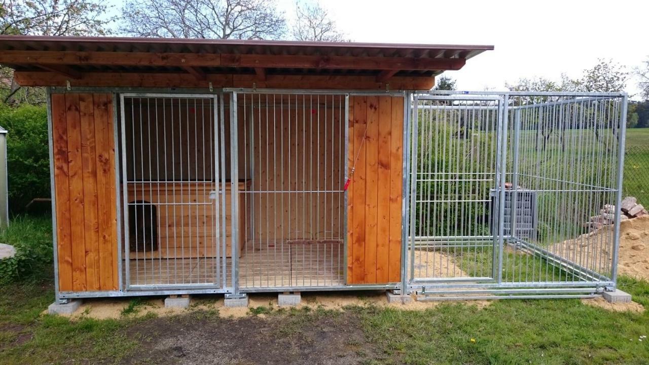 Ferienhof-Rietschen-Neuliebel Bagian luar foto