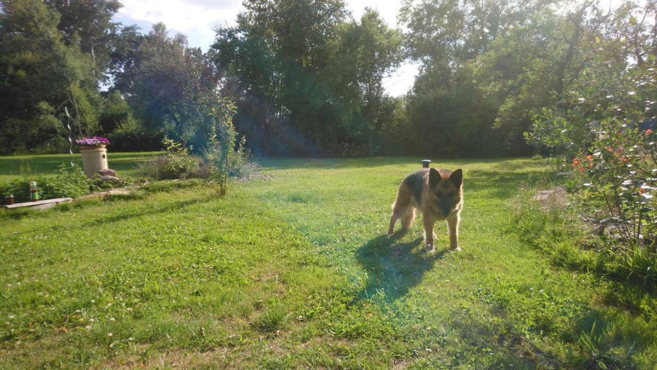 Ferienhof-Rietschen-Neuliebel Bagian luar foto